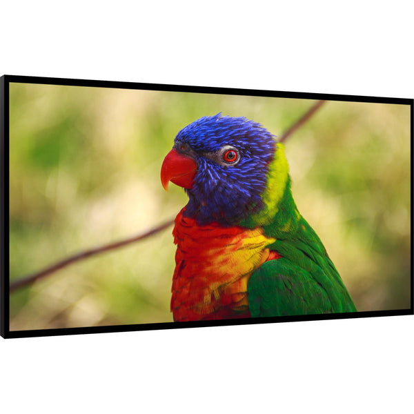 DynaScan DI651ST2 65" 800 nit High Brightness Fanless LCD with Narrow Bezel