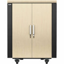 APC by Schneider Electric NetShelter CX Rack Cabinet Schneider Electric SA