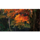 1.89MM,600NIT,3 IN 1,604.8X340.2X72.5