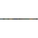 Vertiv Geist rPDU 24-Outlets | 3P+E CA | EC Monitored | Vertical Mount (NI30062L)