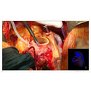 EIZO CURATOR EX3241 HIGH BRIGHT EIZO INC