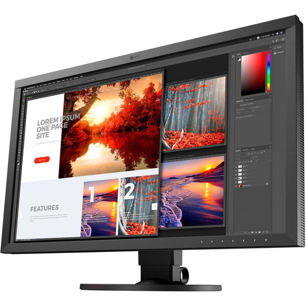27IN WS LCD TFT IPLS BLACK SLIM EIZO INC