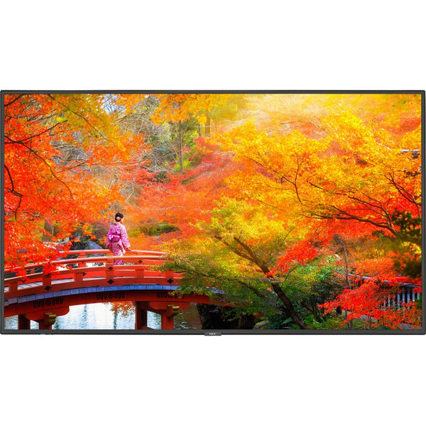 NEC MULTISYNC MA491-PC5