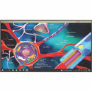 Viewsonic Teamjoin Trs10 With Display Bundle For Microsoft Teams Rooms Includes