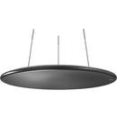 Shure MXA920-R Ceiling Array Microphone and P300 IntelliMix Processor Conferencing Bundle (MXA920B-R+P300-V)