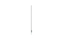 LG Transparent OLED 55-Inch FHD Digital Signage Display (55EW5Q-C)