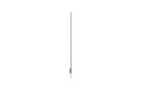 LG Transparent OLED 55-Inch FHD Digital Signage Display (55EW5Q-C)