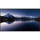 Clevertouch Mimio Boxlight DS 430 43" Android 11 4K UHD Display