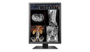 EIZO RadiForce RX250-BK 21.3" 2MP Color Medical LED Monitor – IPS, 1200 x 1600, 800 cd/m², 1400:1, DisplayPort & DVI-D – Black