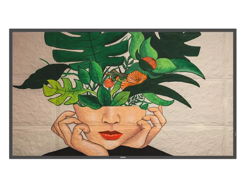 Philips 50Bdl4550D/00 50