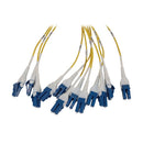 Eaton Tripp Lite N48S-2L24L-10 Preloaded 1U Fiber Panel, 2 x 24F OS2 Singlemode LC/LC Duplex Trunk Cables, 10 m