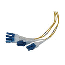Eaton Tripp Lite N48S-6L8L-10 Preloaded Slack-Free Fiber Panel, 1U, OS2 Singlemode, 6 x 8F LC/LC Duplex Trunk Cables, 10 m