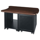 Middle Atlantic D12D-DC Dual Bay Rack with Plexi Door Middle Atlantic