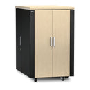 APC NetShelter CX 24U Soundproof Server Rack Enclosure – TAA Compliant, 100–240V, Grey