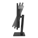 ASUS ProArt Display OLED PA32DC 32-Inch 4K HDR Professional Monitor with Built-In Colorimeter