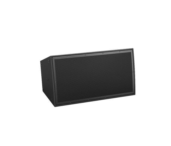 Bose Arenamatch Am20 Deltaq Array Loudspeaker