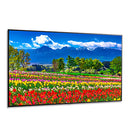 NEC M751-AVT3 - 75" Ultra High Definition Professional Display with ATSC/NTSC Tuner NEC