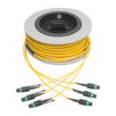 Tripp Lite 30m MTP/MPO APC OS2 Singlemode 24-Fiber Trunk Cable