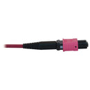 Tripp Lite OM4 Multimode MPO Fiber Cable 40/100/400G, 30m, Magenta LSZH