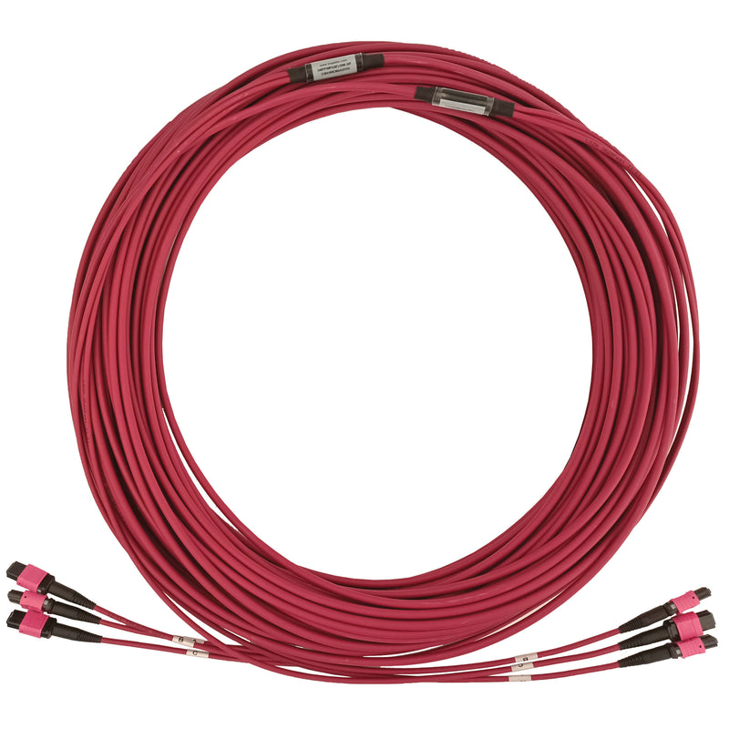 Eaton N858B-38M-3X8MG 40/100G OM4 Multimode Fiber Optic Cable (3x8F MTP/MPO-PC, LSZH, Magenta, 38 m)