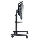 Flat Panel Mobile Stand