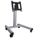Large Confidence Monitor Cart 3' to 4' (without interface)