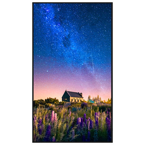 Sharp MultiSync® PN-M652 65" 4K UHD Large Format Display