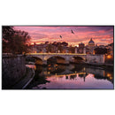 ViewSonic ViewBoard 75 Flat Panel Display