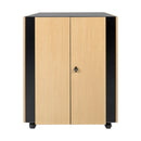 Eaton Tripp Lite SRQ18U SmartRack Sound Proof 18U Half-Height Server Rack Enclosure