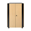 Eaton Tripp Lite SRQ24U SmartRack 24U Soundproof Half-Height Rack Enclosure