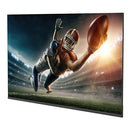 NEC 4P-B43EJ2U - 43 Class Commercial TV NEC