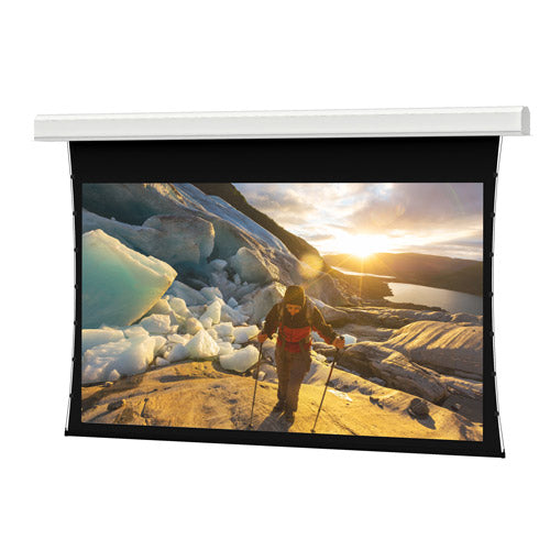 Da-Light | Tensioned Large Advantage Deluxe Electrol Projection Screen Da_Lite