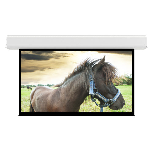 Da-Lite | Advantage/110v 298"/HDTV - Matte White Da_Lite