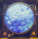 Round LCD Video Displays - World's First Round Shape Display