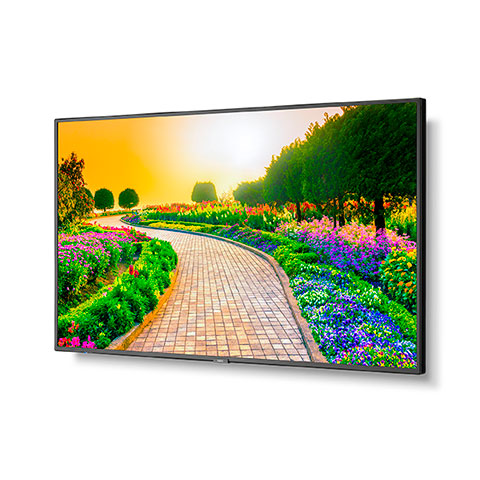 NEC M431-AVT3 | 43" Ultra High Definition Professional Display with Integrated ATSC/NTSC Tuner NEC