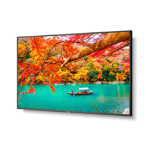 NEC MA431 | 43" Wide Color Gamut Ultra High Definition Professional Display NEC